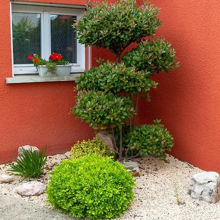 Villa Location De Le Pagnol Albi