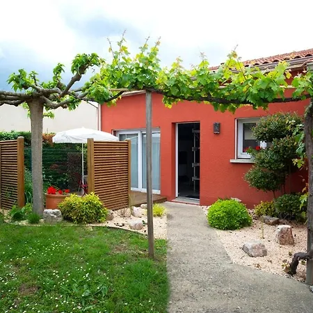 Villa Location De Le Pagnol Albi